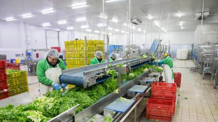 La empresa Vegetales Línea Verde de Tudela creará 40 nuevos empleos
