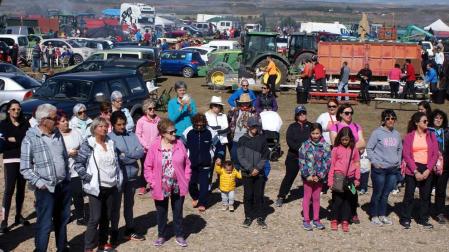 Cascante decide suspender sus tradicionales fiestas de primavera