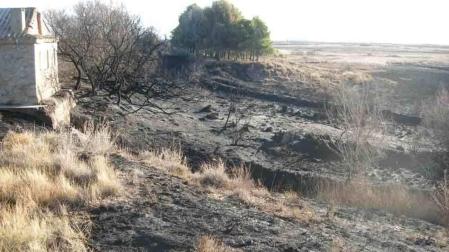 Guarderío de Medio Ambiente y Policía Foral aclaran incendios en la balsa de El Pulguer