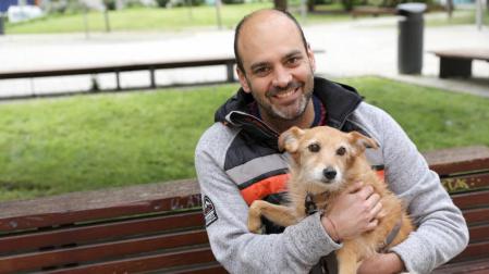 La epidemia de coronavirus también ha afectado a los estos animales, que han visto reducidos sus paseos.
