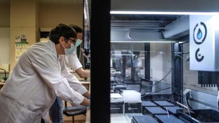Contagios y muertes suben de nuevo ligeramente a 4.211 casos y 435 fallecidos