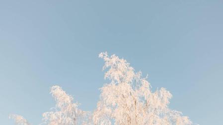 Fabio Purroy, en una de sus salidas en el parque nacional de Abisko, en Suecia.