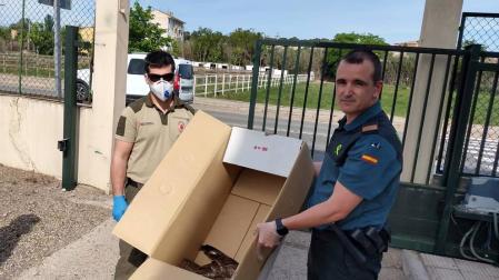 Recogen un águila herida cerca de la Laguna de Lor