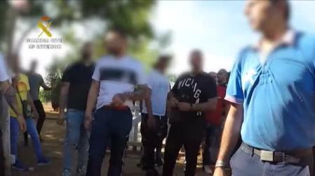 La Guardia Civil irrumpe en una finca de Sevilla donde se realizaban peleas de gallos
