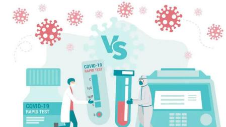 Los test serológicos o rápidos identifican la presencia de anticuerpos en la sangre