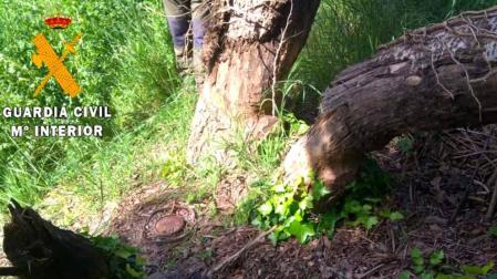 Localizado un cepo de caza ilegal en Murillo el Cuende