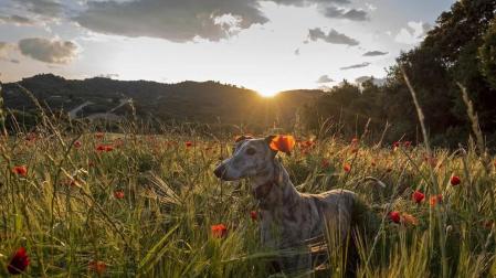 Ausencia de lluvias hasta el viernes con predominio de jornadas soleadas
