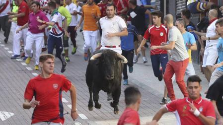 Unos mozos corren delante de un toro durante el último encierro de San Sebastián de los Reyes.