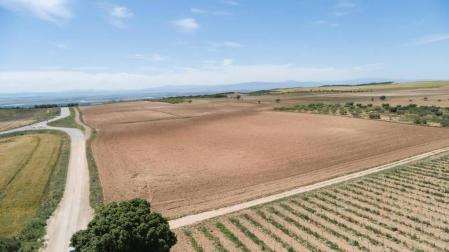 Enhol invertirá 34 millones en una planta solar en Arguedas y Valtierra