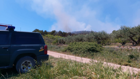 Fotos del incendio forestal que ha dejado una víctima mortal en Los Arcos.