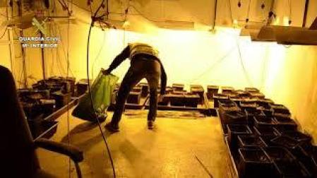 Vídeo: La Guardia Civil se incauta de 7 kilos de marihuana en una nave de Berrioplano