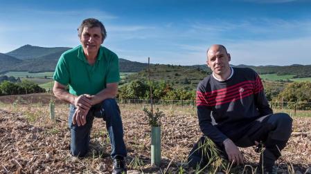 La truficultura como apuesta forestal, en la sierra de Santiago de Lóquiz