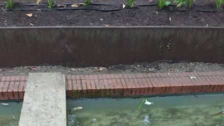 Matan “a palos” a cinco peces de la Media Luna el pasado fin de semana