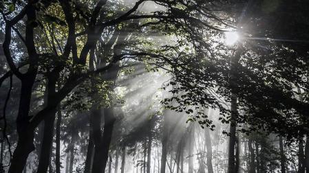 El invierno será cálido en toda España y lluvioso en el noroeste peninsular
