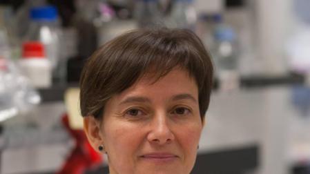 Un producto de terapia génica para una enfermedad hepática rara del Cima recibe la designación de medicamento huérfano