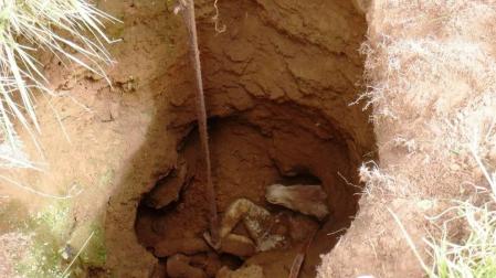 Rescatan a un potro caído en una sima