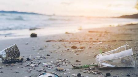 38 erasmus, obligados a limpiar una playa gallega tras un botellón