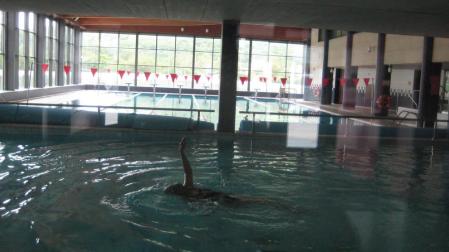 Otros cinco municipios renuncian a abrir las piscinas de verano