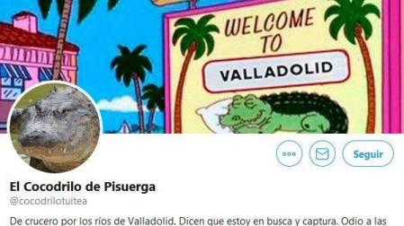 El cocodrilo del Pisuerga 'se abre' una cuenta en Twitter: "En este país no se puede vivir tranquilo"