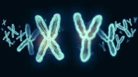 ¿Por qué las mujeres resisten mejor la COVID-19? La respuesta puede estar en el cromosoma X