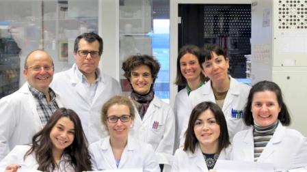 Investigadores del Cima identifican los mecanismos que bloquean las etapas previas del cáncer de hígado