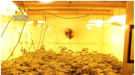 Desarticulada una banda de narcos responsable de un asesinato