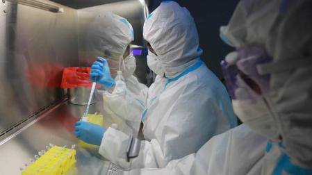 Sanidad sigue sin registrar nuevos muertos, pero sube los contagios a 84