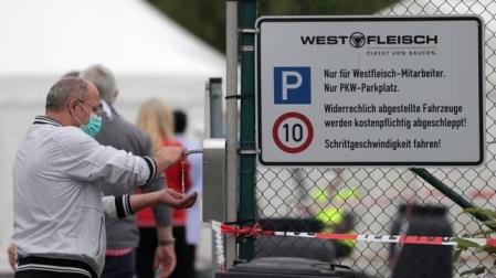 Más de 650 trabajadores de un matadero en Alemania dan positivo por Covid-19