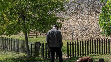 Tres zonas de uso canino para la negociación en Estella