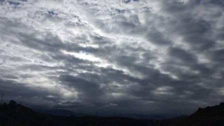 Fotos enviadas por los lectores durante el verano de 2020.