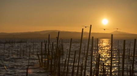 Fotografía atardecer albufera Valencia