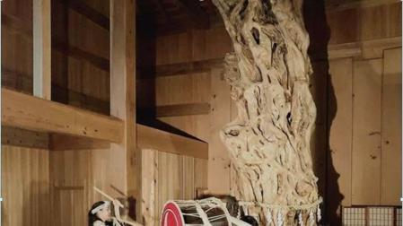 El Gobierno de Navarra participa en un evento online de danza tradicional japonesa