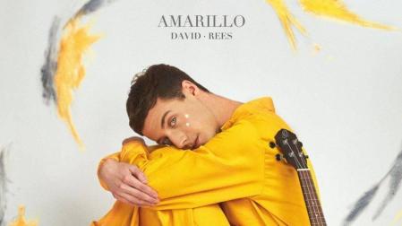 David Rees, de vídeos en YouTube a su primer disco 'Amarillo'