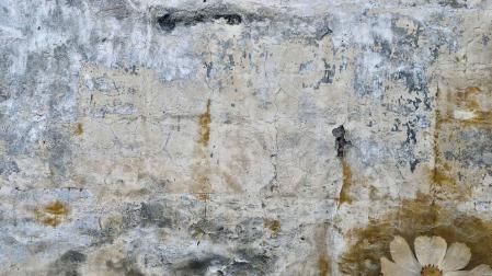 Imagen en detalle de una muralla