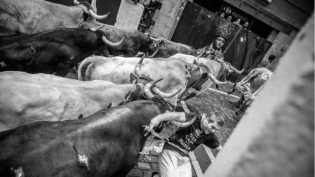 Alejandro Miguel Simón gana el concurso de fotos del encierro
