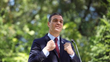 El presidente del Gobierno, Pedro Sánchez.