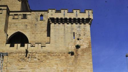 Las compañías navarras, protagonistas del Festival de Olite