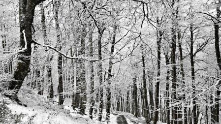 La alerta por nieve se prolonga a hoy y los copos podr&aacute;n caer a 500 metros