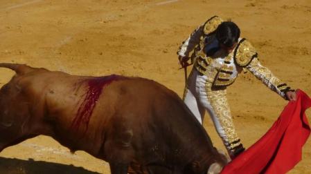 Lodosa suspende las Lodosanas, novilladas y actuaciones en la plaza
