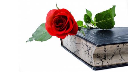 Los Sant Jordi 'navarros'