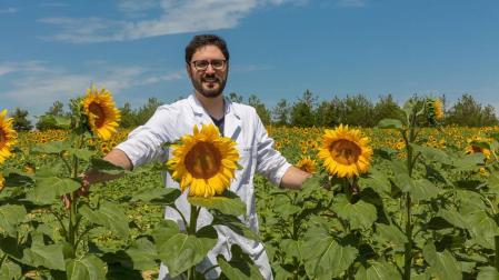Una investigación propone mejoras para la producción de cultivos