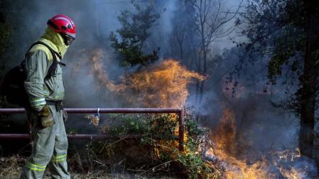 El voraz incendio que desde la tarde de este miércoles afecta a los municipios ourensanos de Cualedro y Monterrei continúa activo y avanzando y supera ya las 1.000 hectáreas