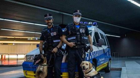 Los hocicos enemigos de la droga