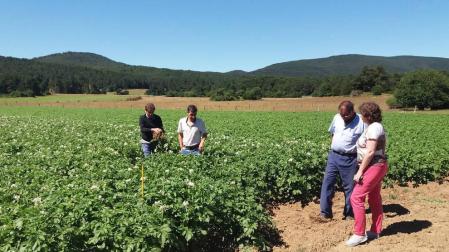 La superficie agraria ecológica en Navarra ha crecido un 18% en 2017