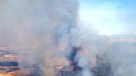 Un incendio quema 900 hectáreas y provoca la evacuación de viviendas en Madrid