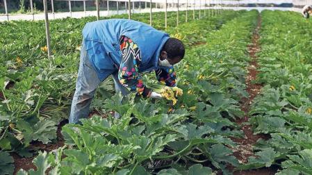 25 casos en un brote en Carcastillo que afecta a trabajadores agrarios