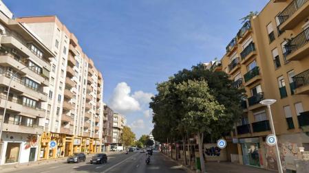 Gran redada en Palma contra una red internacional de carteristas