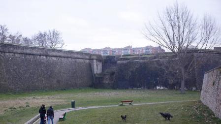 La revisión de los pipicanes abre la puerta a zonas sin correa en Pamplona