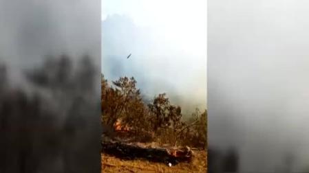 Estabilizado el incendio que afecta a la isla de La Palma
