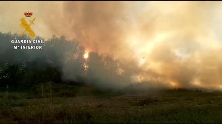 Vídeo de un incendio de arboleda en Santacara